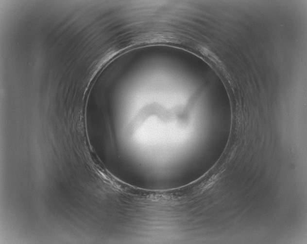 X0000061731089200512161616