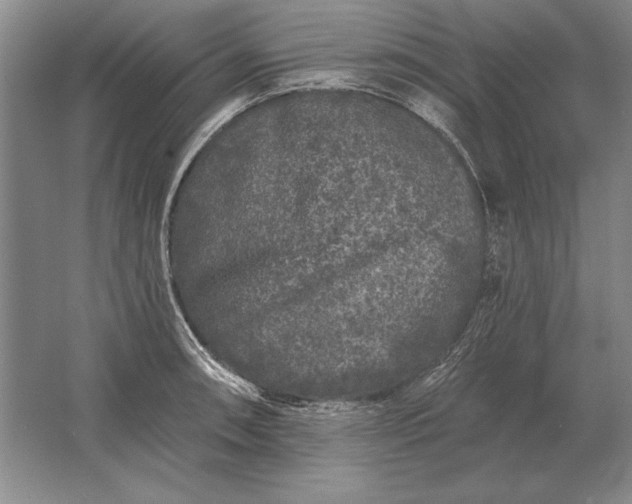 X0000061731090200512161616