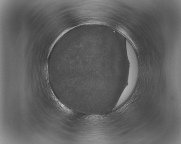 X0000061731092200512161616