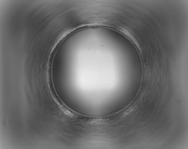 X0000061731093200512161616