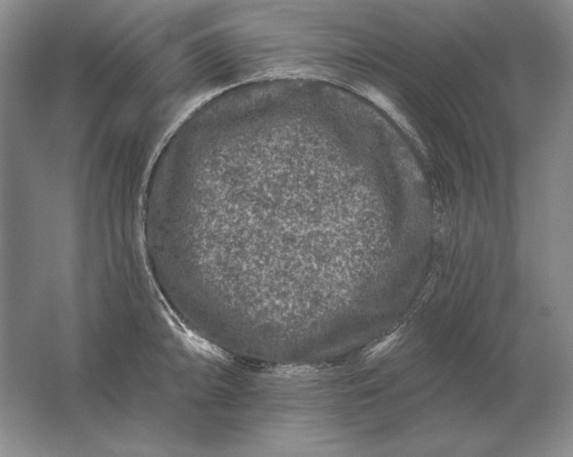 X0000061731094200512161616