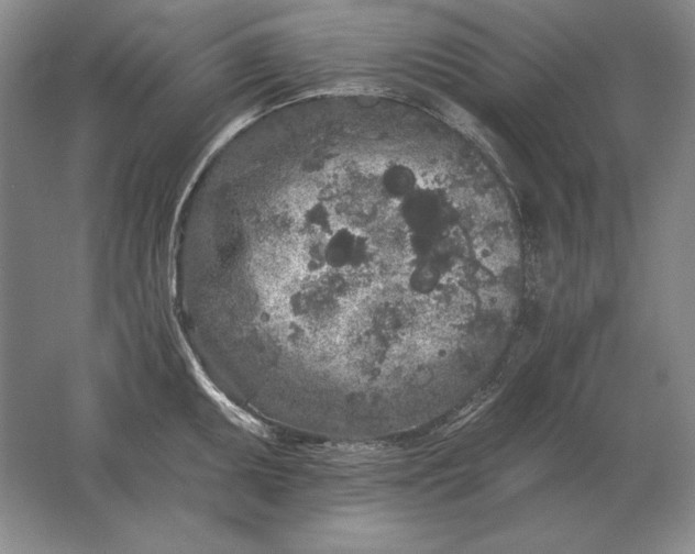 X0000061731095200512161616