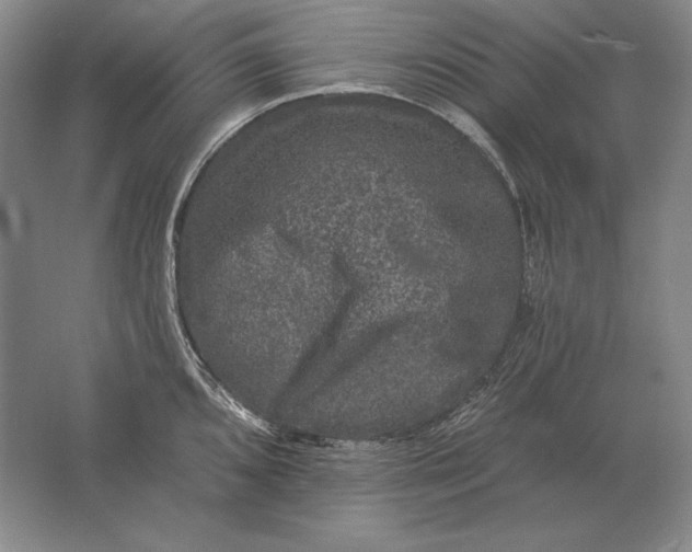 X0000061731096200512161616