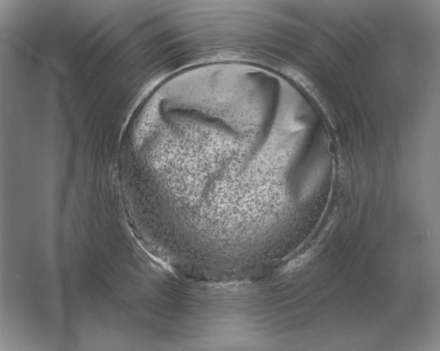 X0000061731097200512161616