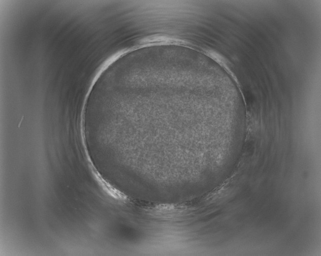 X0000061731098200512161616