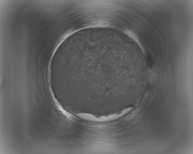 X0000061731099200512161615