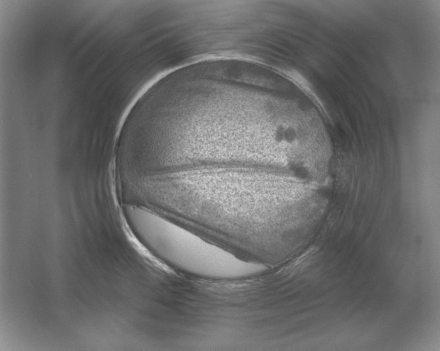 X0000061731100200512161615