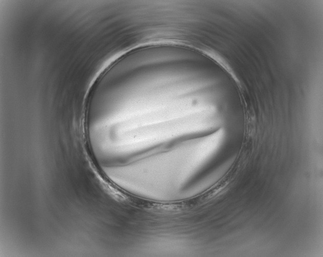 X0000061731101200512161615