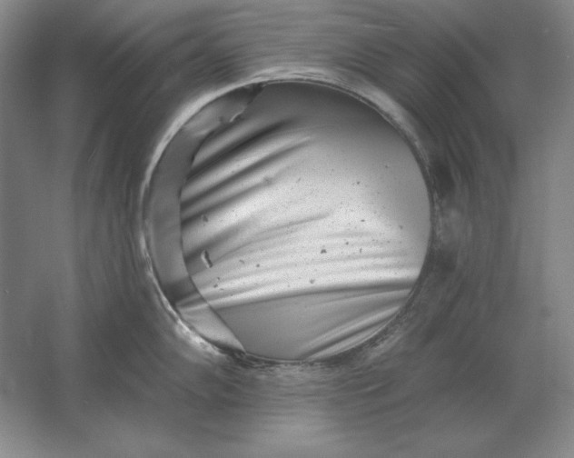 X0000061731102200512161615