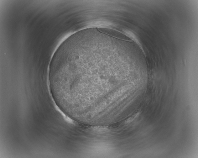 X0000061731103200512161615