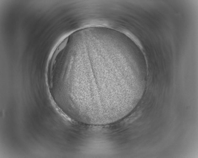 X0000061731104200512161615