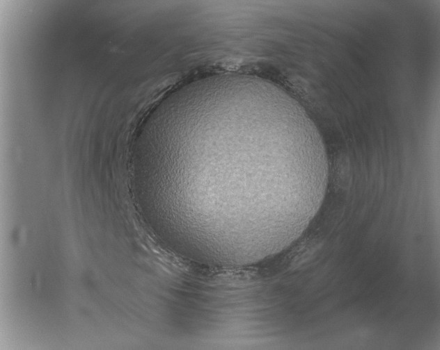 X0000061731105200512161615