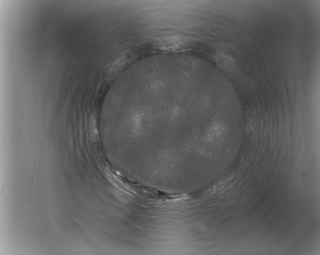 X0000061731106200512161615