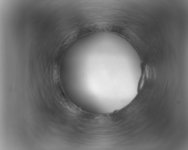 X0000061731107200512161615