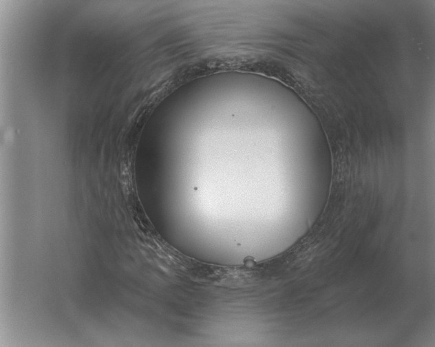 X0000061731109200512161615