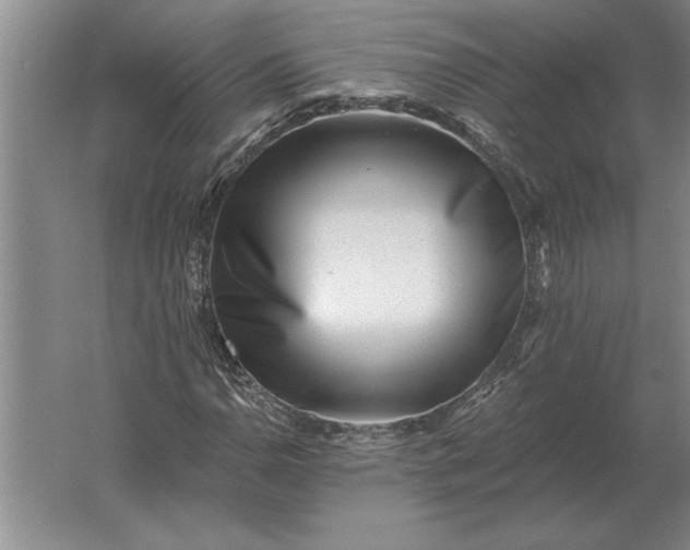 X0000061731110200512161615