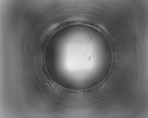 X0000061731111200512161615