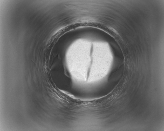 X0000061731112200512161615