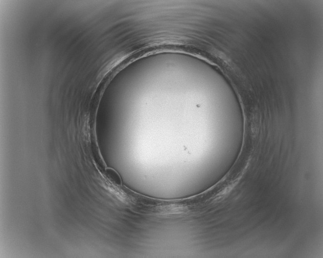 X0000061731113200512161615