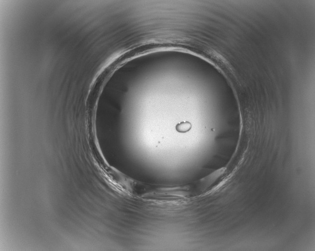 X0000061731114200512161615