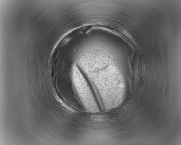 X0000061731116200512161615