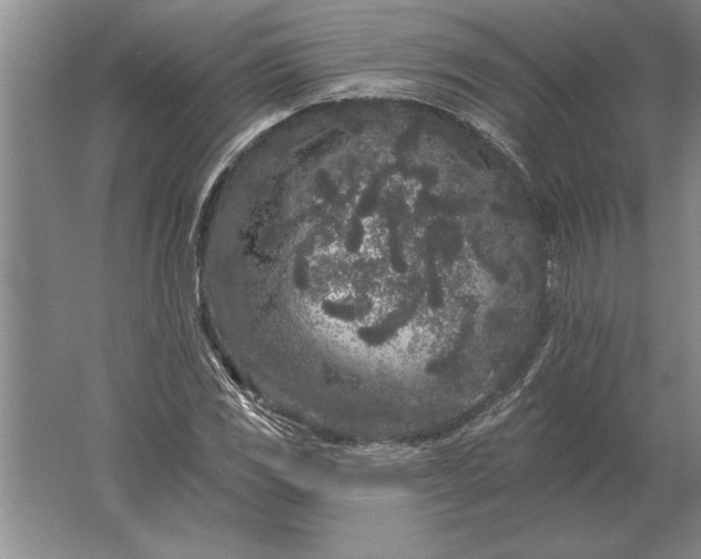 X0000061731117200512161615