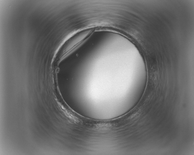 X0000061731118200512161615