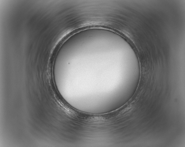 X0000061731119200512161615