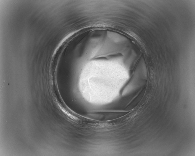 X0000061731120200512161615