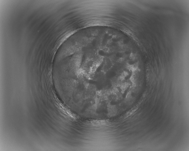 X0000061731121200512161615