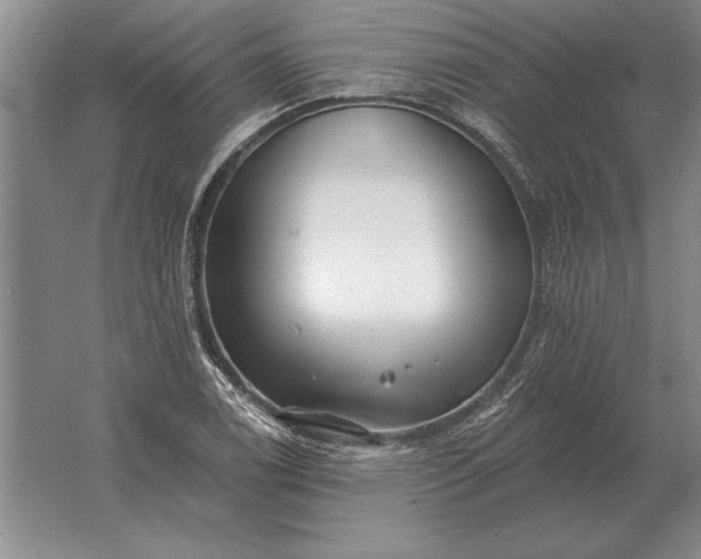 X0000061731122200512161615