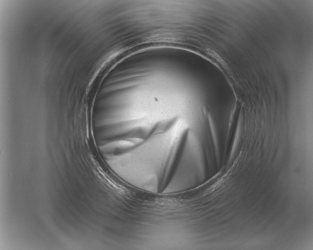 X0000061731123200512161615