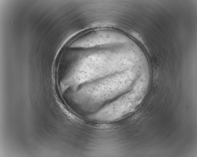 X0000061731124200512161615