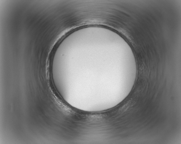 X0000061731126200512161615