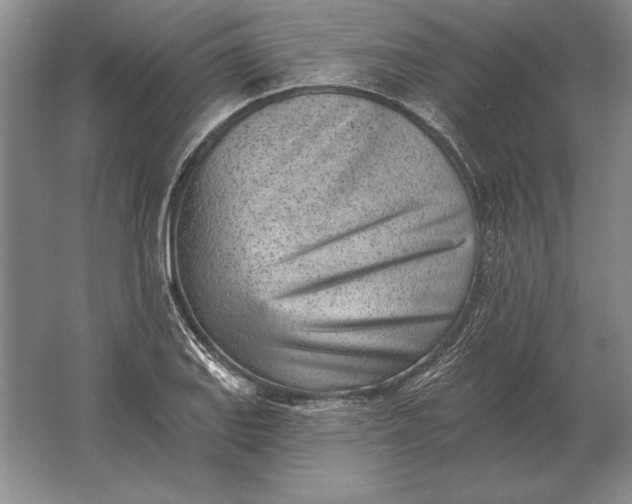 X0000061731127200512161615