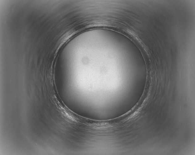 X0000061731129200512161615