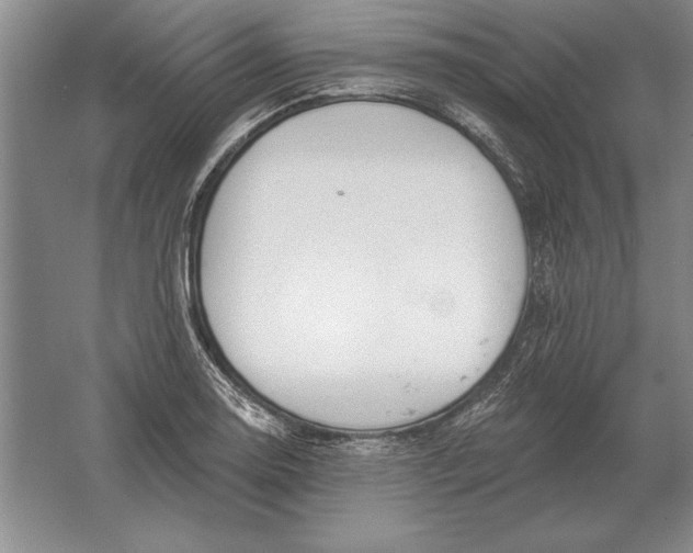 X0000061731130200512161615