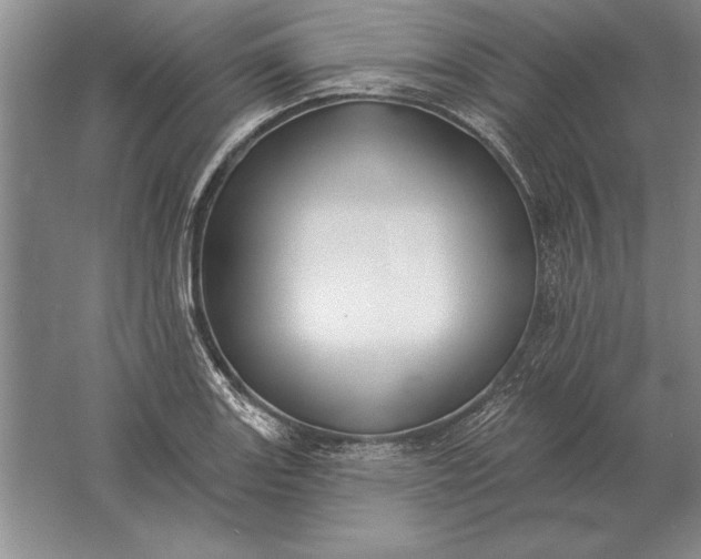 X0000061731131200512161615