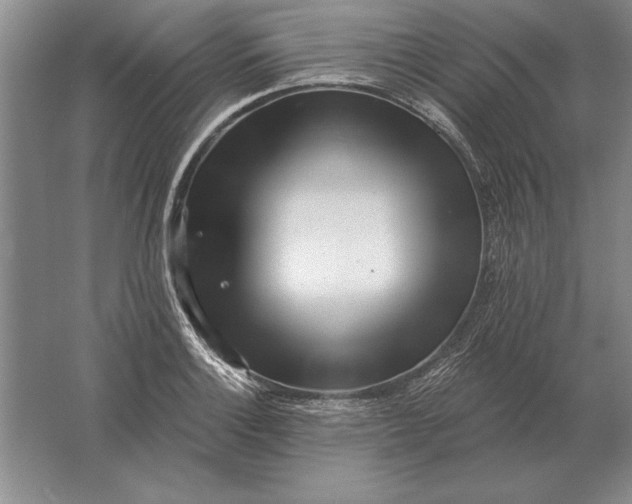 X0000061731132200512161615