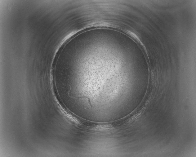 X0000061731133200512161615