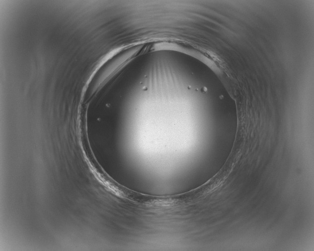 X0000061731134200512161615