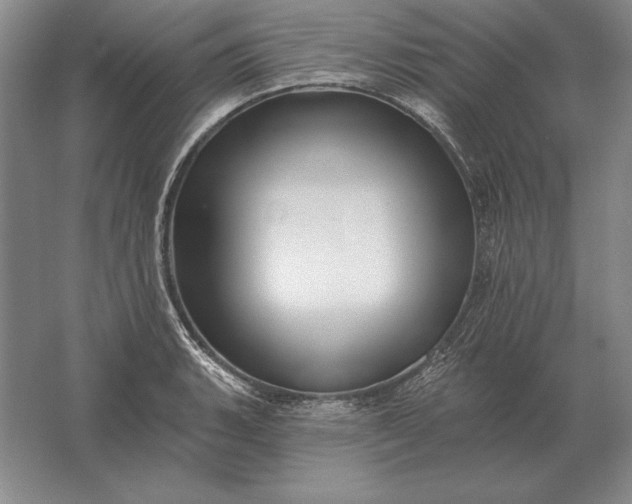 X0000061731135200512161615