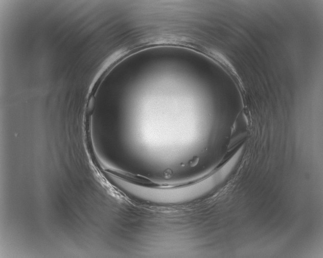 X0000061731138200512161615