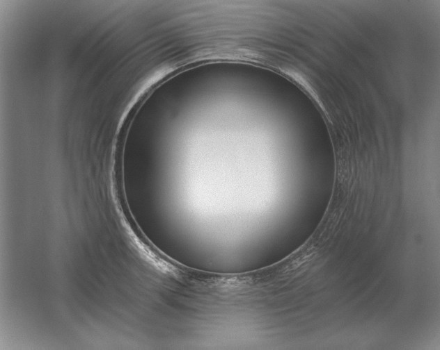 X0000061731139200512161615