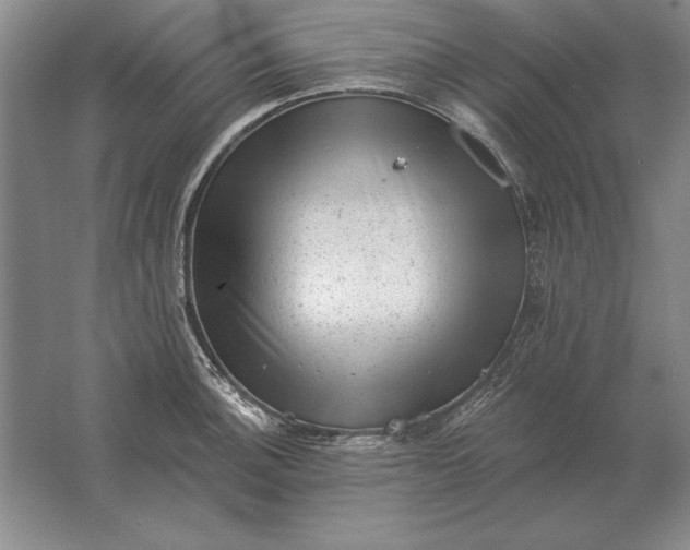 X0000061731140200512161615