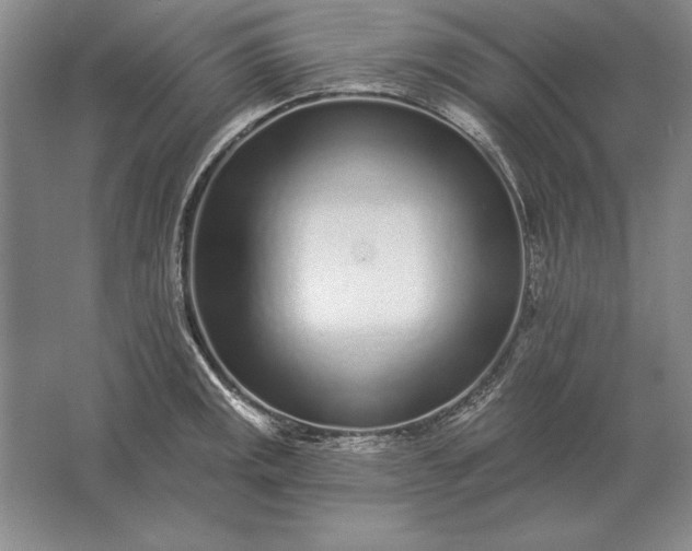 X0000061731141200512161615