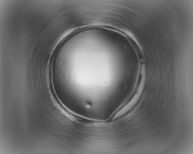 X0000061731142200512161615