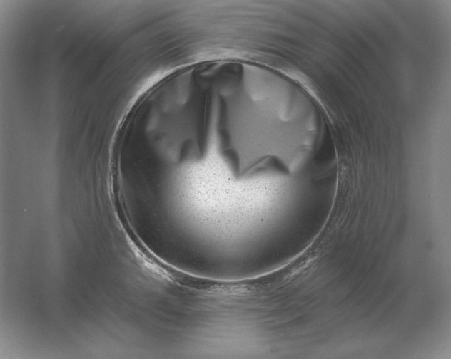 X0000061731143200512161615