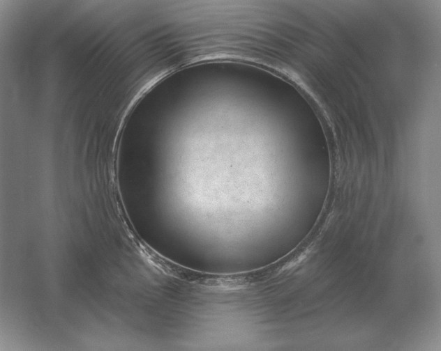 X0000061731145200512161615