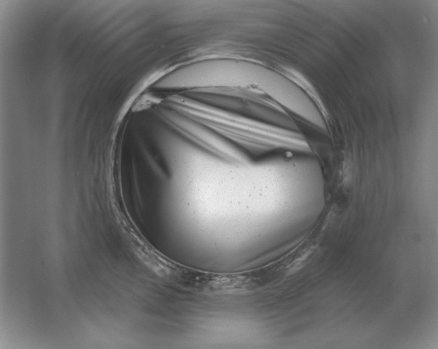 X0000061731146200512161615